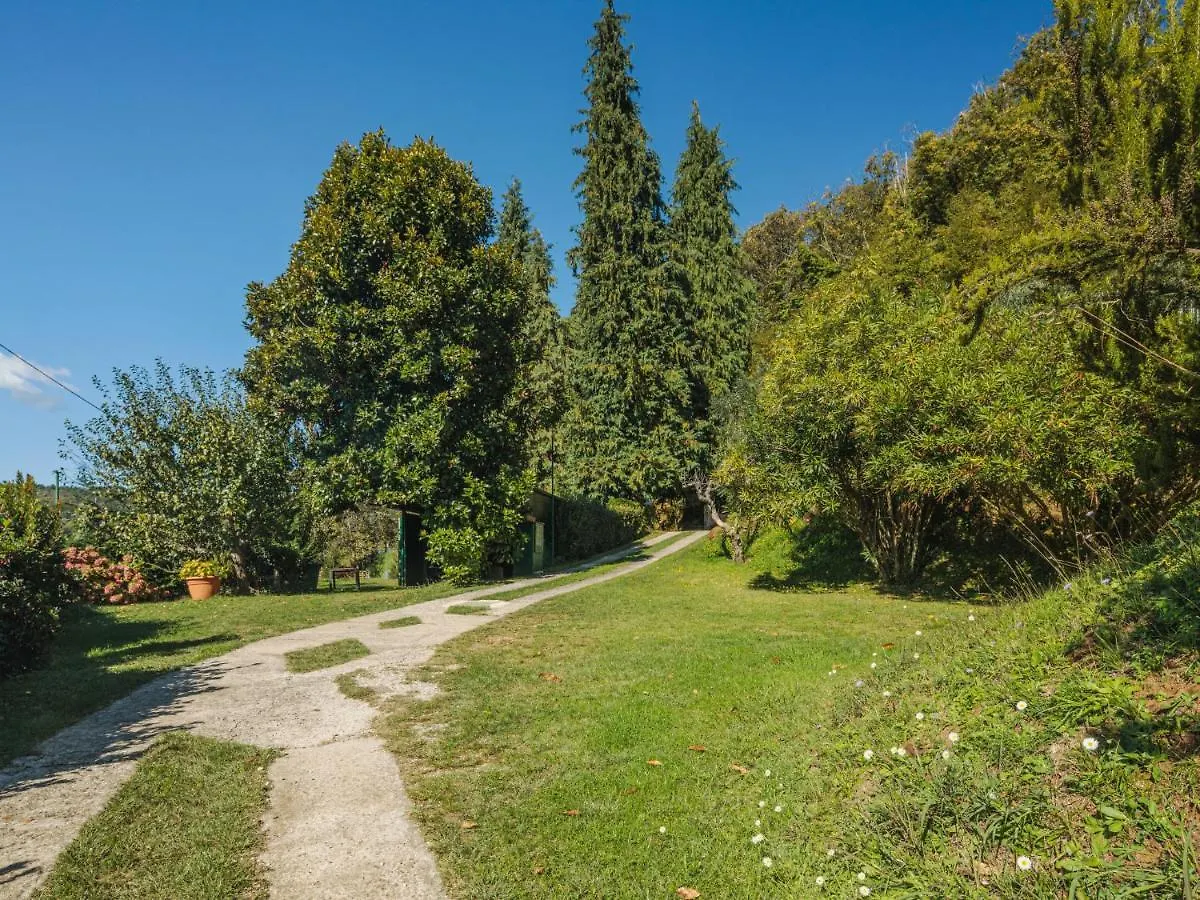 Apartment Brugiana By Interhome Bergiola Maggiore